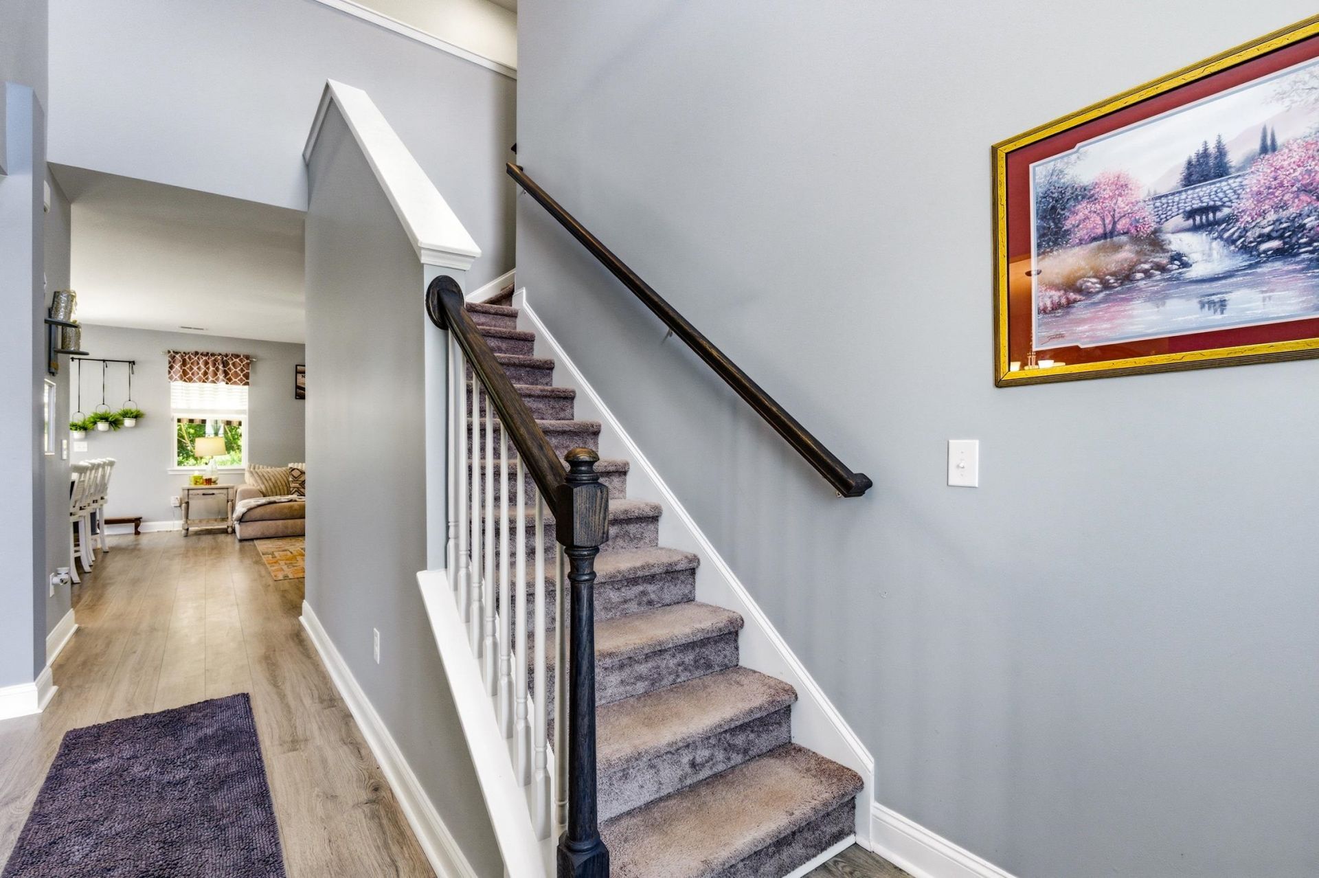 244 Walnut Grove Ct. Photo 17