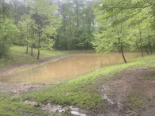 427 & 439 Thorngrove Pike, Kodak, TN 37764