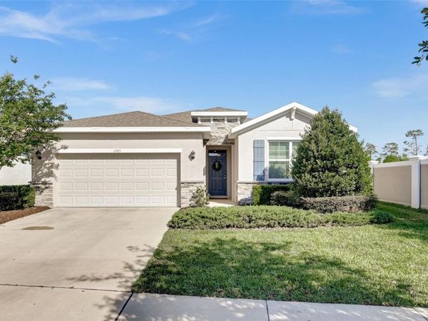 11925 CROSS VINE DRIVE, RIVERVIEW, FL 33579