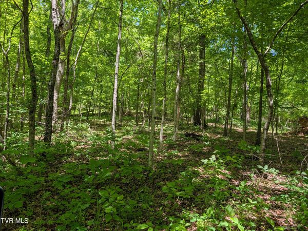 Tbd Carters Valley Loop, Unit 064 096.01, Rogersville, TN 37857