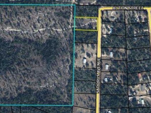 00 Sadorus Avenue, Alford, FL 32420