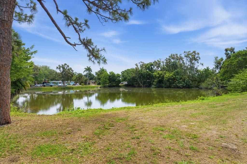 6901 17th Lane N, Saint Petersburg, FL 33702 Photo