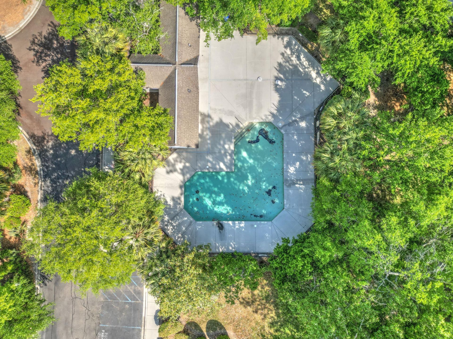 8124 Shadow Oak Drive Photo 33