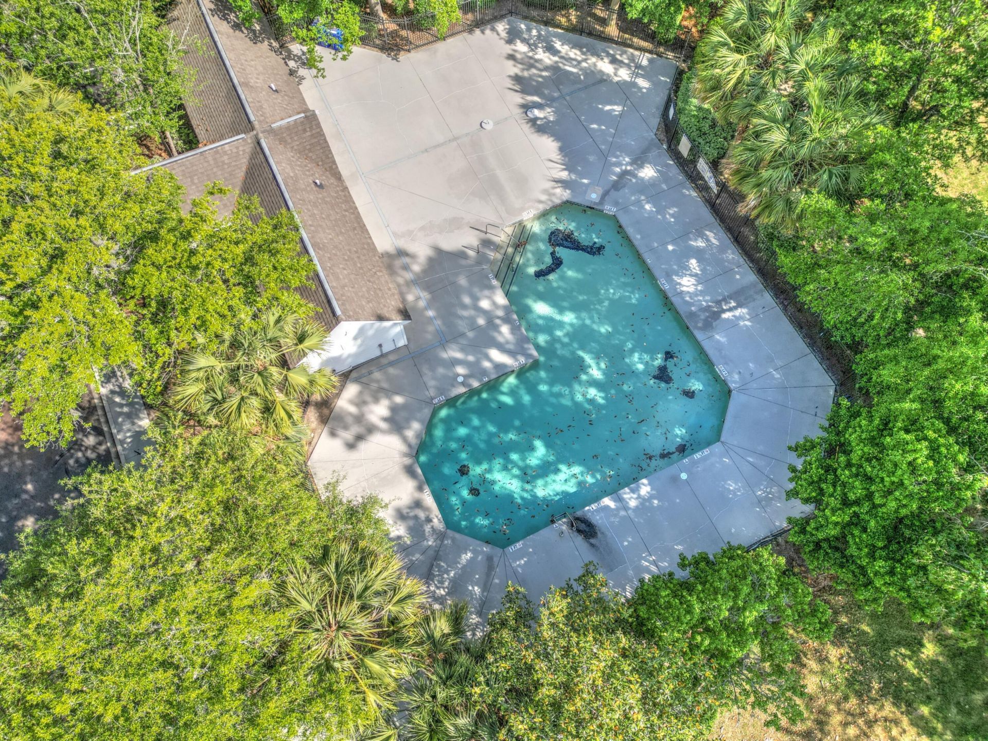 8124 Shadow Oak Drive Photo 34