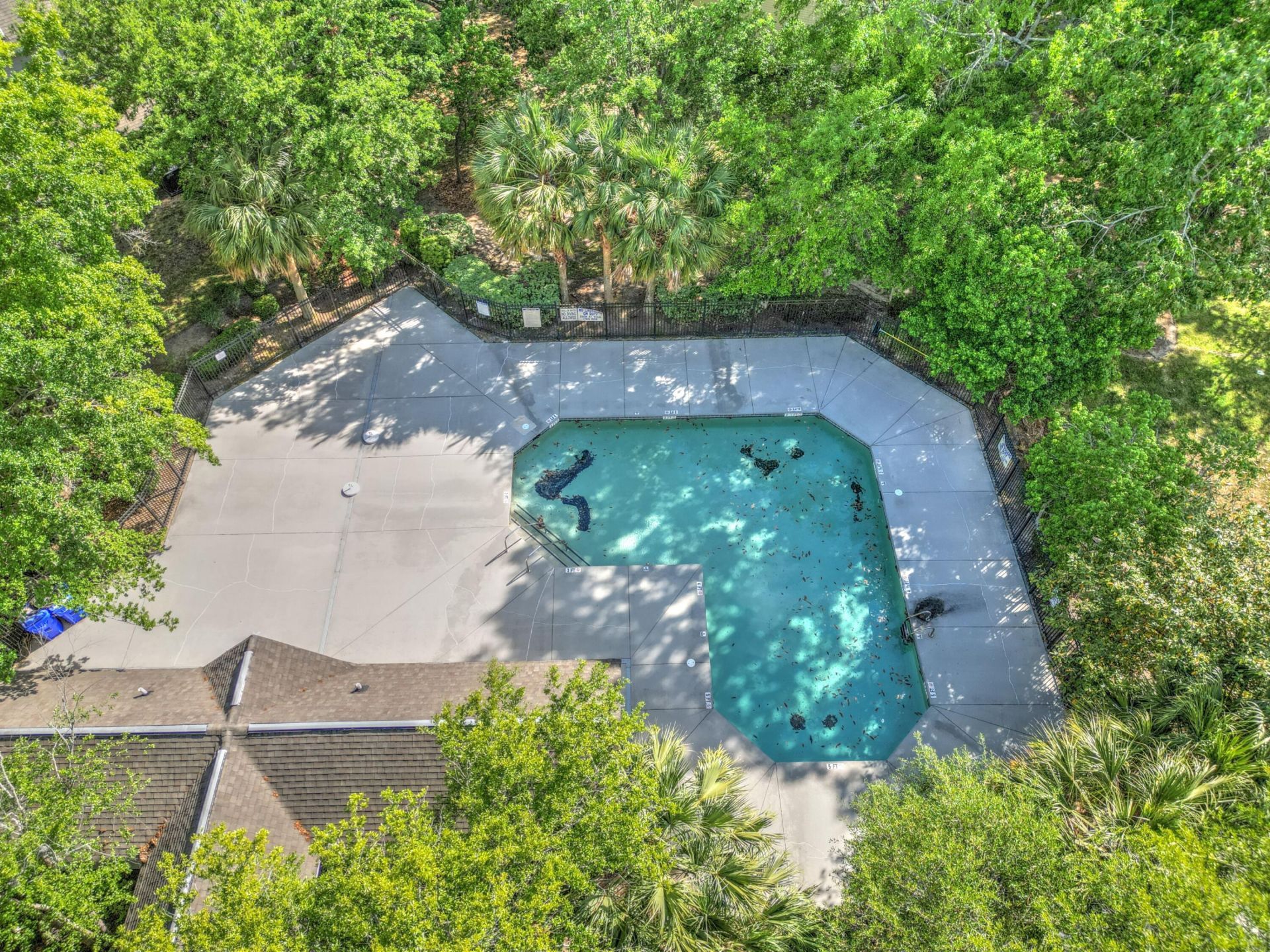 8124 Shadow Oak Drive Photo 35
