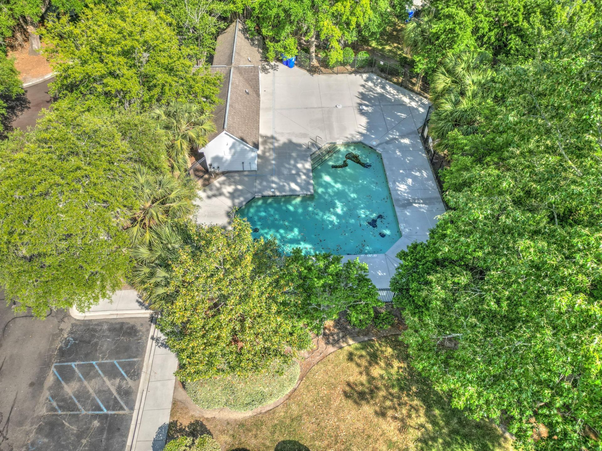 8124 Shadow Oak Drive Photo 37