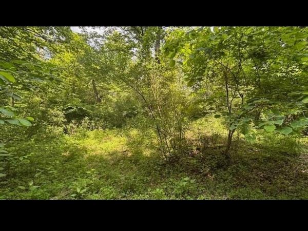 14500 Wolfe Road , Amesville, OH 45711