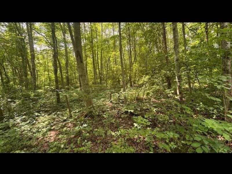 14500 Wolfe Road , Amesville, OH 45711 Photo 3