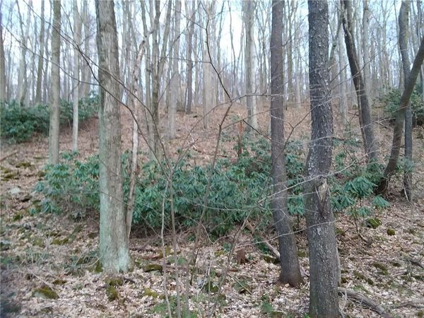 RD# 1 MelcroftRoad Melcroft , Melcroft, PA 15462