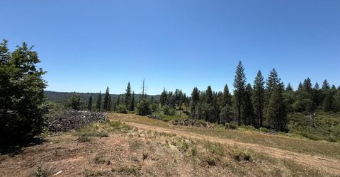 371 Blossom Ln, Mokelumne Hill, CA 95245 Photo
