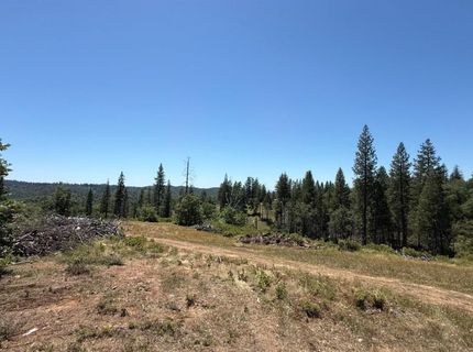 371 Blossom Ln, Mokelumne Hill, CA 95245 Photo