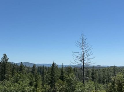 371 Blossom Ln, Mokelumne Hill, CA 95245 Photo