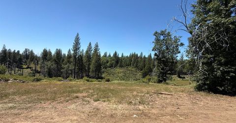 371 Blossom Ln, Mokelumne Hill, CA 95245 Photo