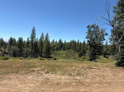 371 Blossom Ln, Mokelumne Hill, CA 95245 Photo