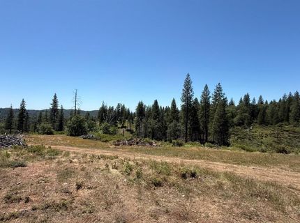 371 Blossom Ln, Mokelumne Hill, CA 95245 Photo