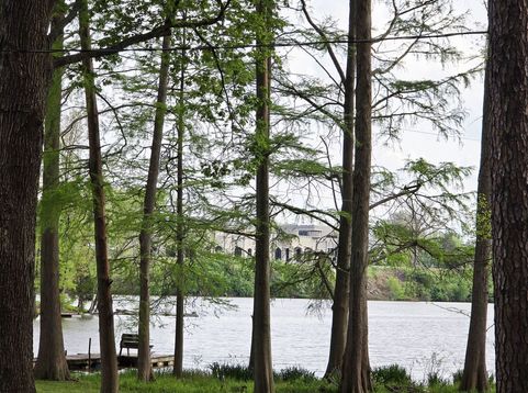 Main Photo
