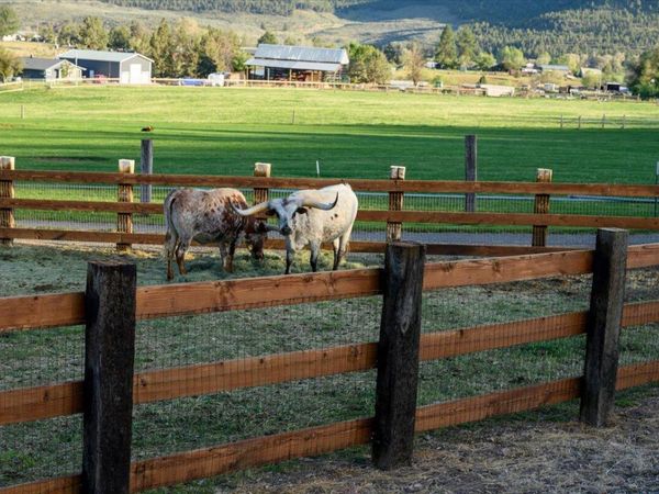 1176 NE Barnes Road, Prineville, OR 97754