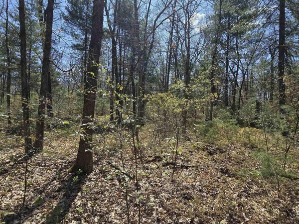 Locust Avenue S, White Cloud, MI 49349