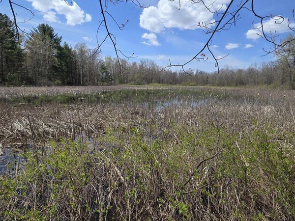Baseline Road E, White Cloud, MI 49349