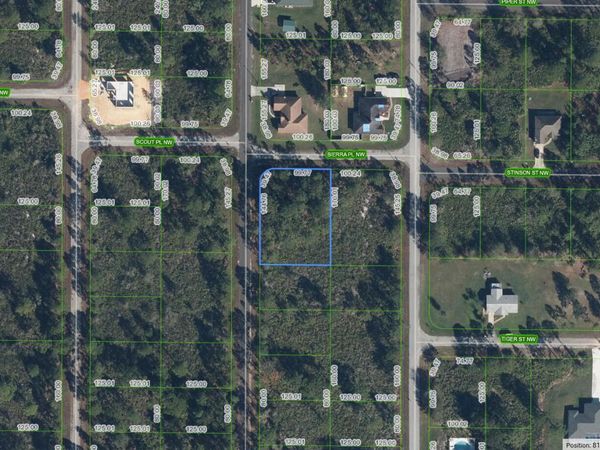 350 Norseman Avenue NW, Lake Placid, FL 33852