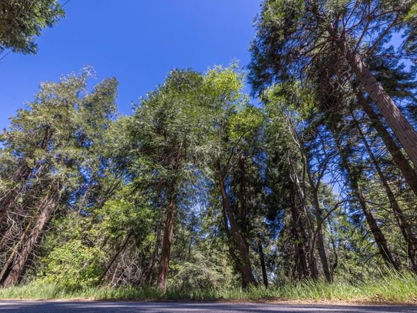Lot 78 Cedar Pines Drive, Crestline, CA 92325