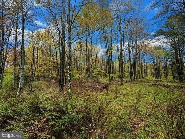 GRANDVIEW ROAD , KANE, PA 16735