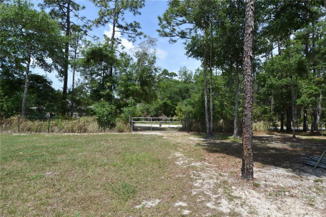 14241 Ravine Avenue , Weeki Wachee, FL 34614 Photo