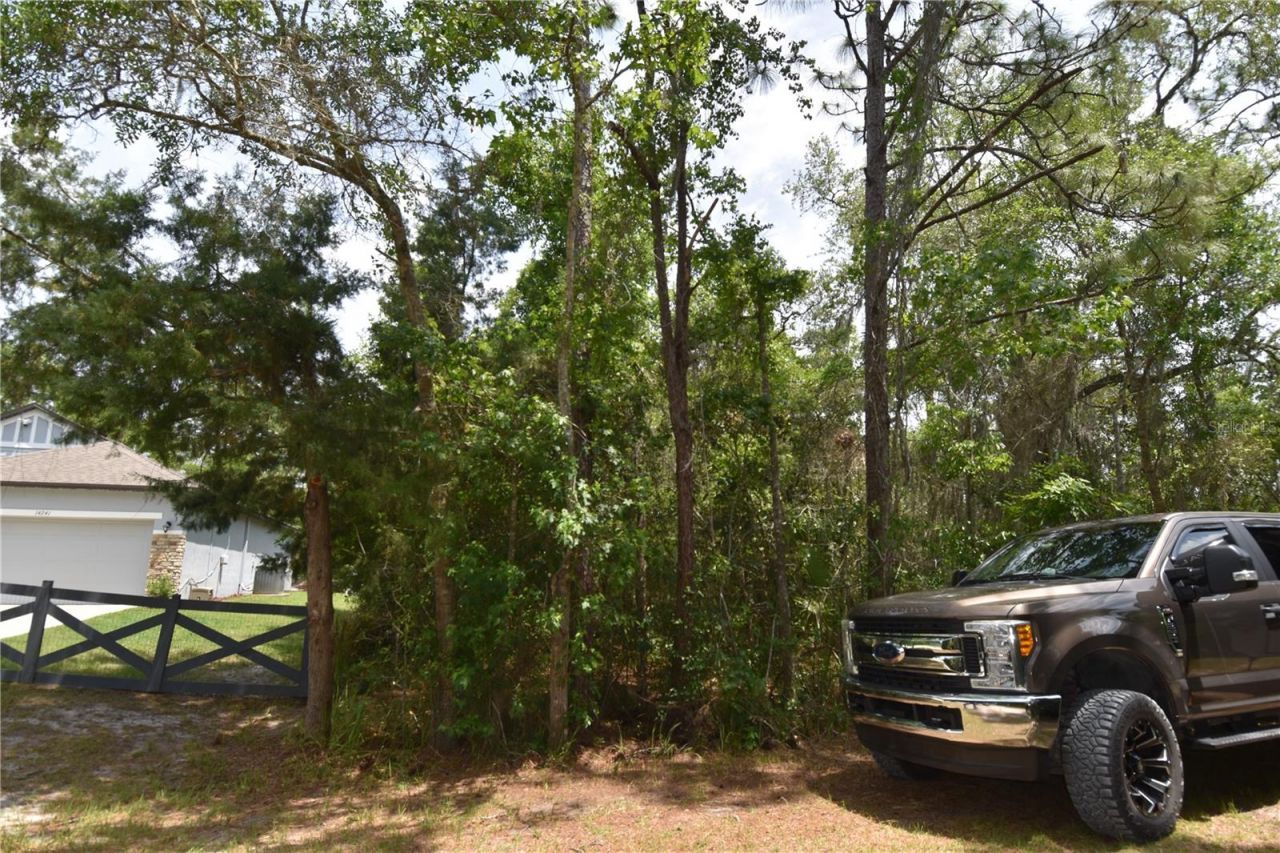 14241 Ravine Avenue , Weeki Wachee, FL 34614 Photo
