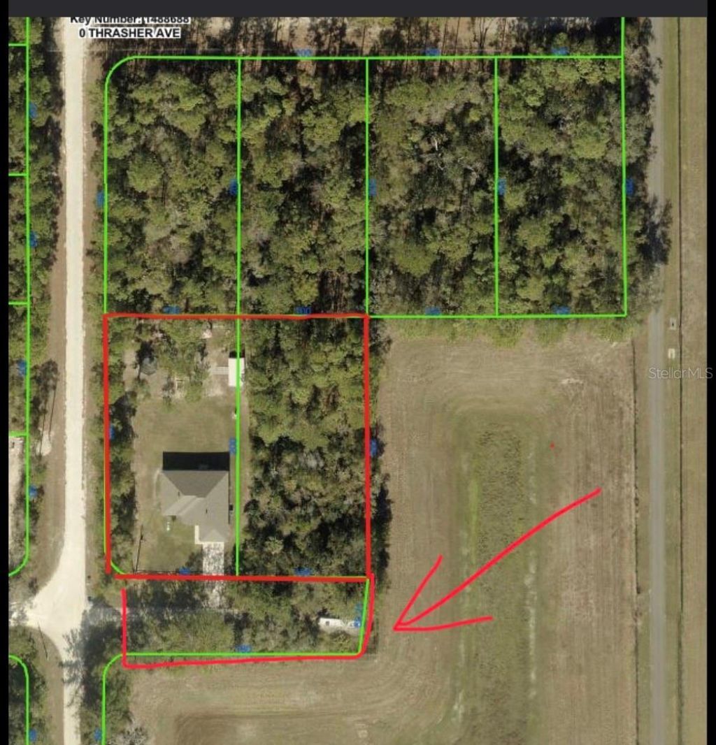 14241 Ravine Avenue , Weeki Wachee, FL 34614 Photo