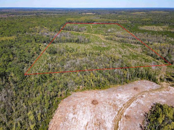 000 SW Mt.Gilead Road , Lamont, FL 32331