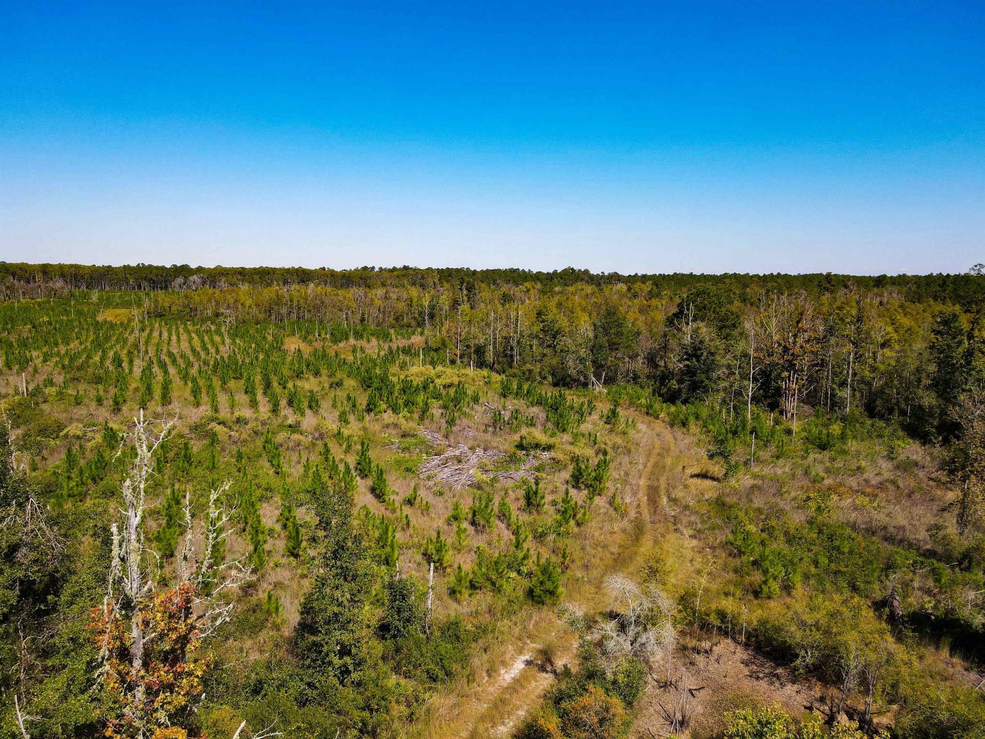 000 SW Mt.gilead Road , Lamont, FL 32331 Photo