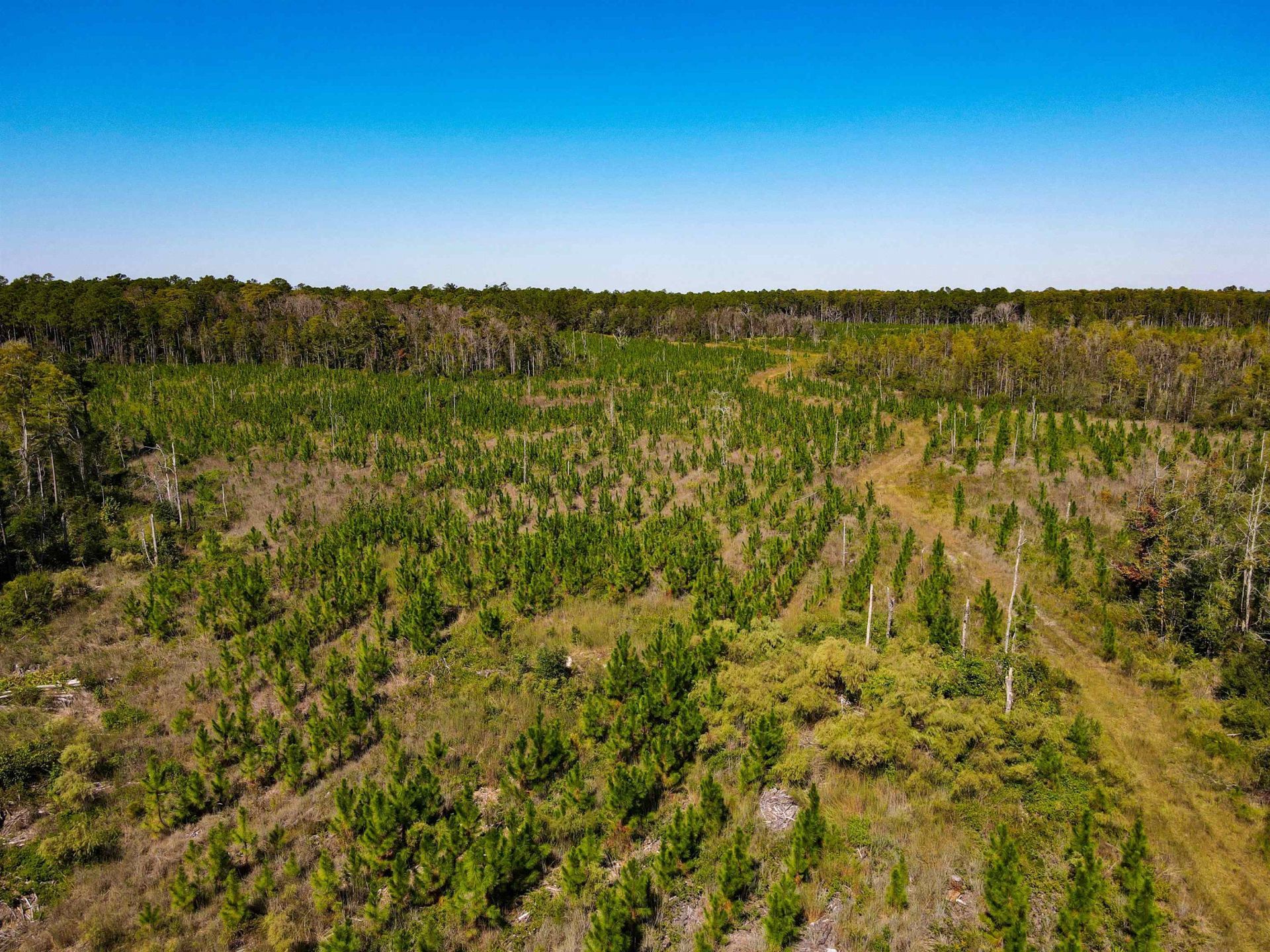 000 SW Mt.gilead Road , Lamont, FL 32331 Photo