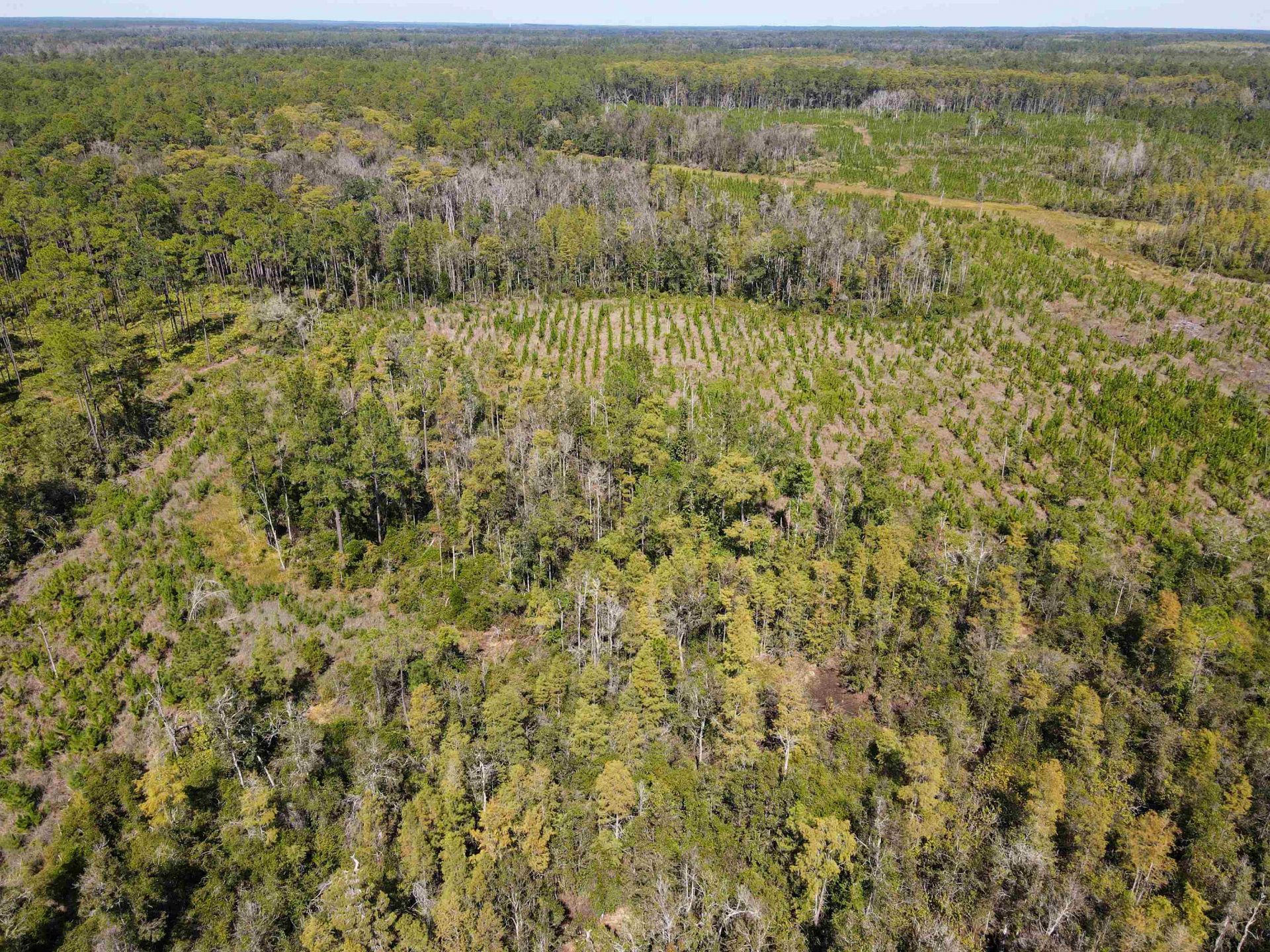 000 SW Mt.gilead Road , Lamont, FL 32331 Photo