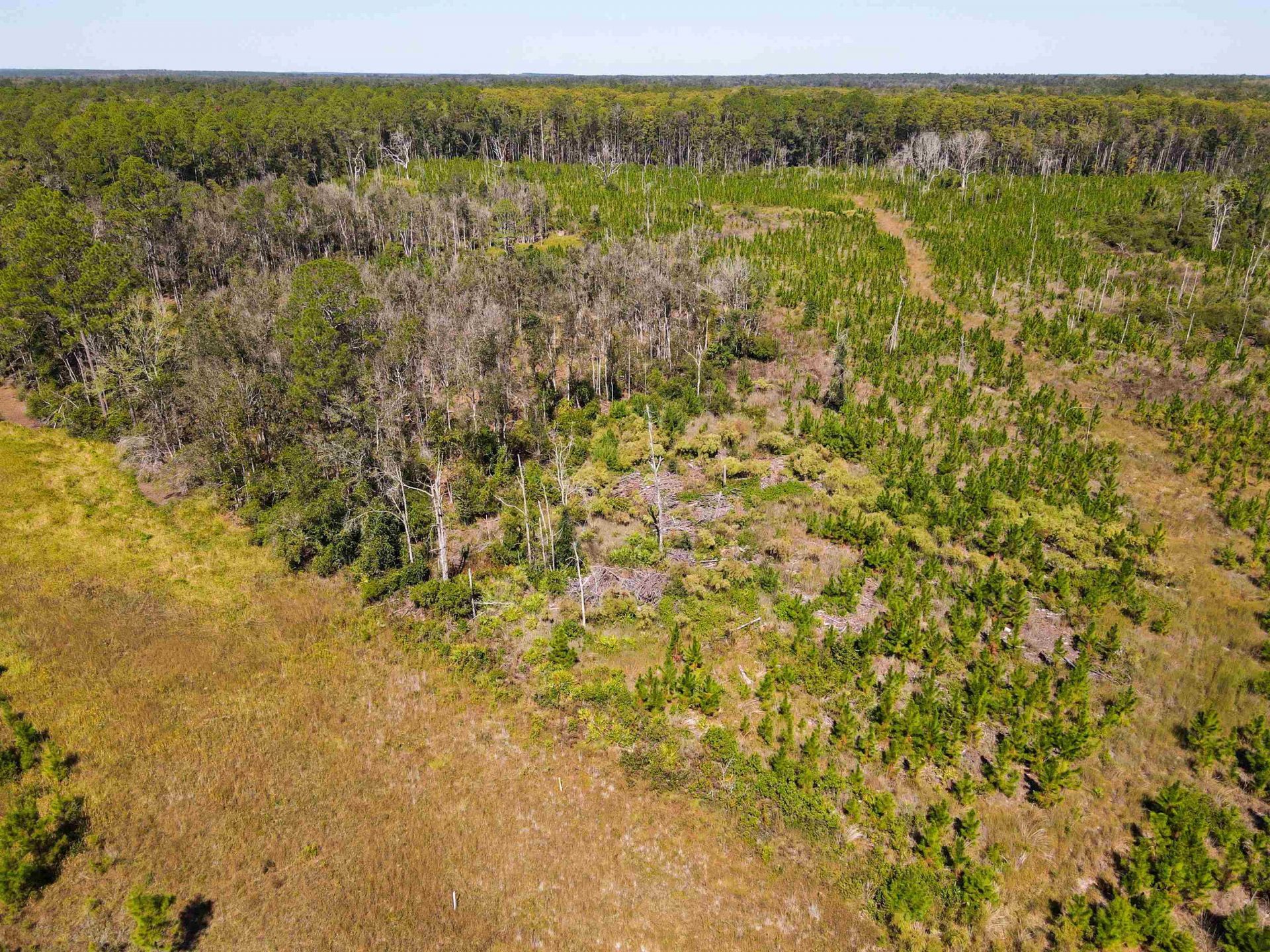 000 SW Mt.gilead Road , Lamont, FL 32331 Photo