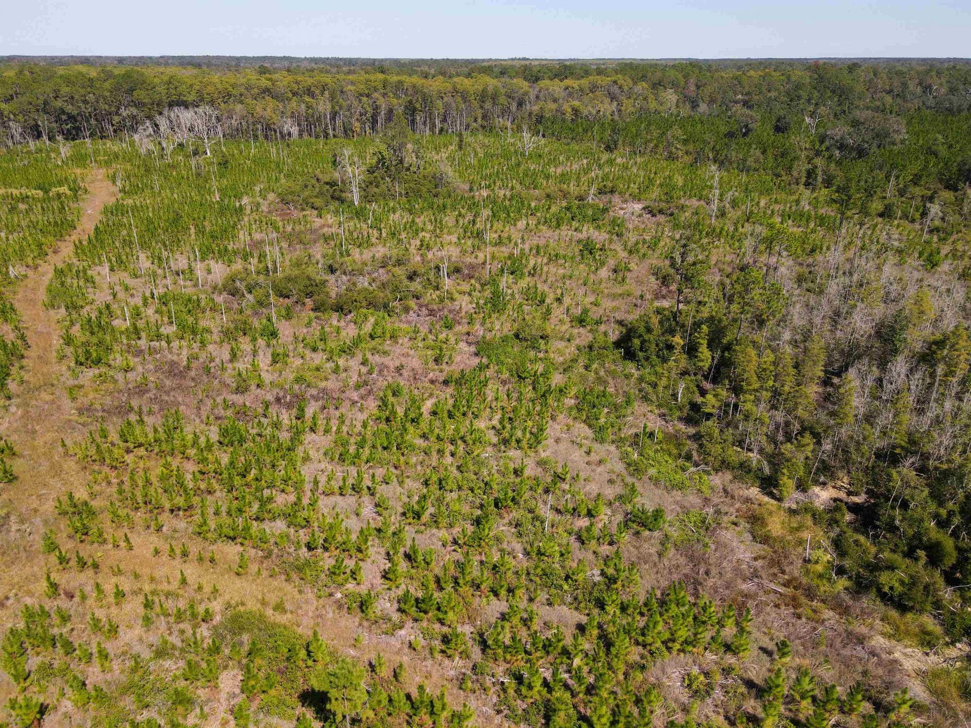 000 SW Mt.gilead Road , Lamont, FL 32331 Photo