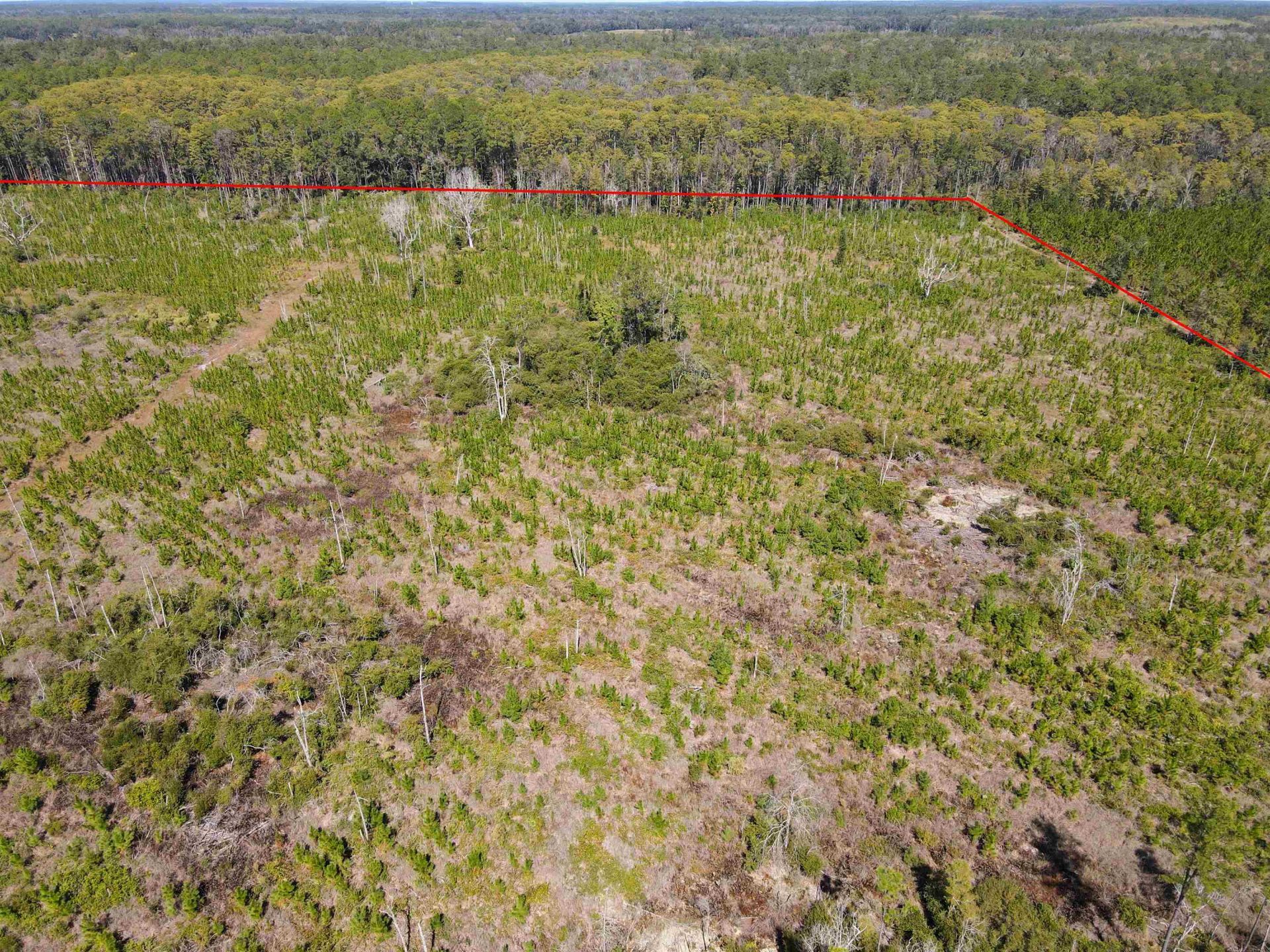 000 SW Mt.gilead Road , Lamont, FL 32331 Photo
