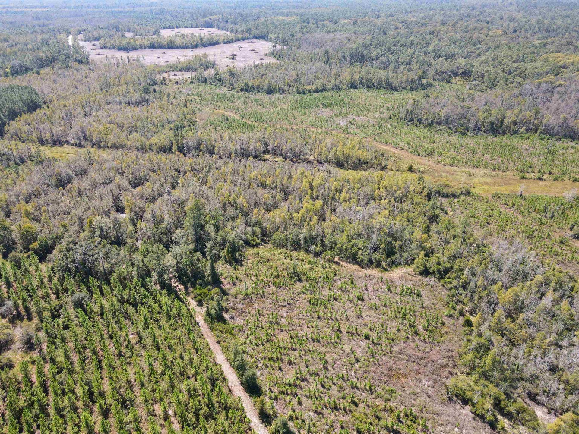 000 SW Mt.gilead Road , Lamont, FL 32331 Photo
