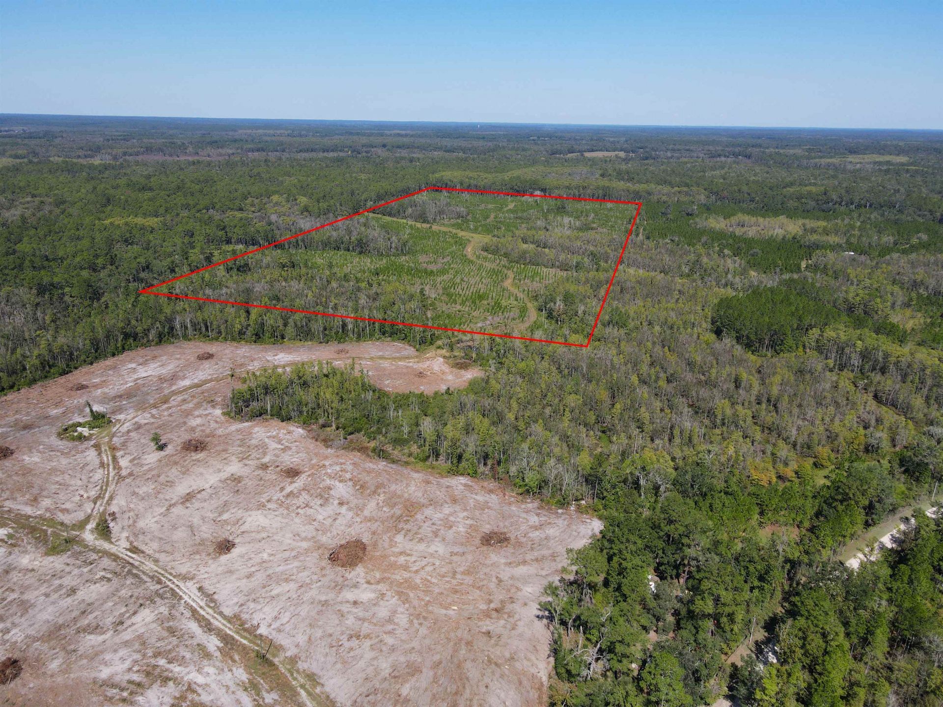000 SW Mt.gilead Road , Lamont, FL 32331 Photo
