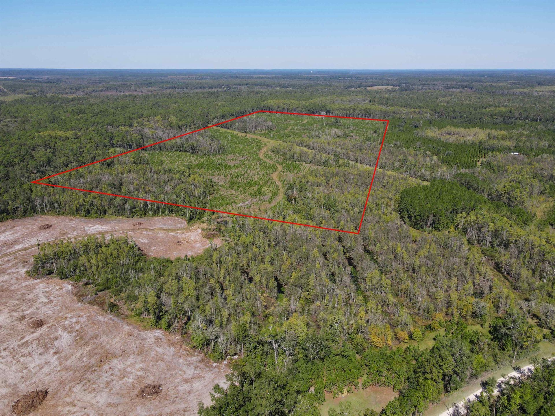 000 SW Mt.gilead Road , Lamont, FL 32331 Photo