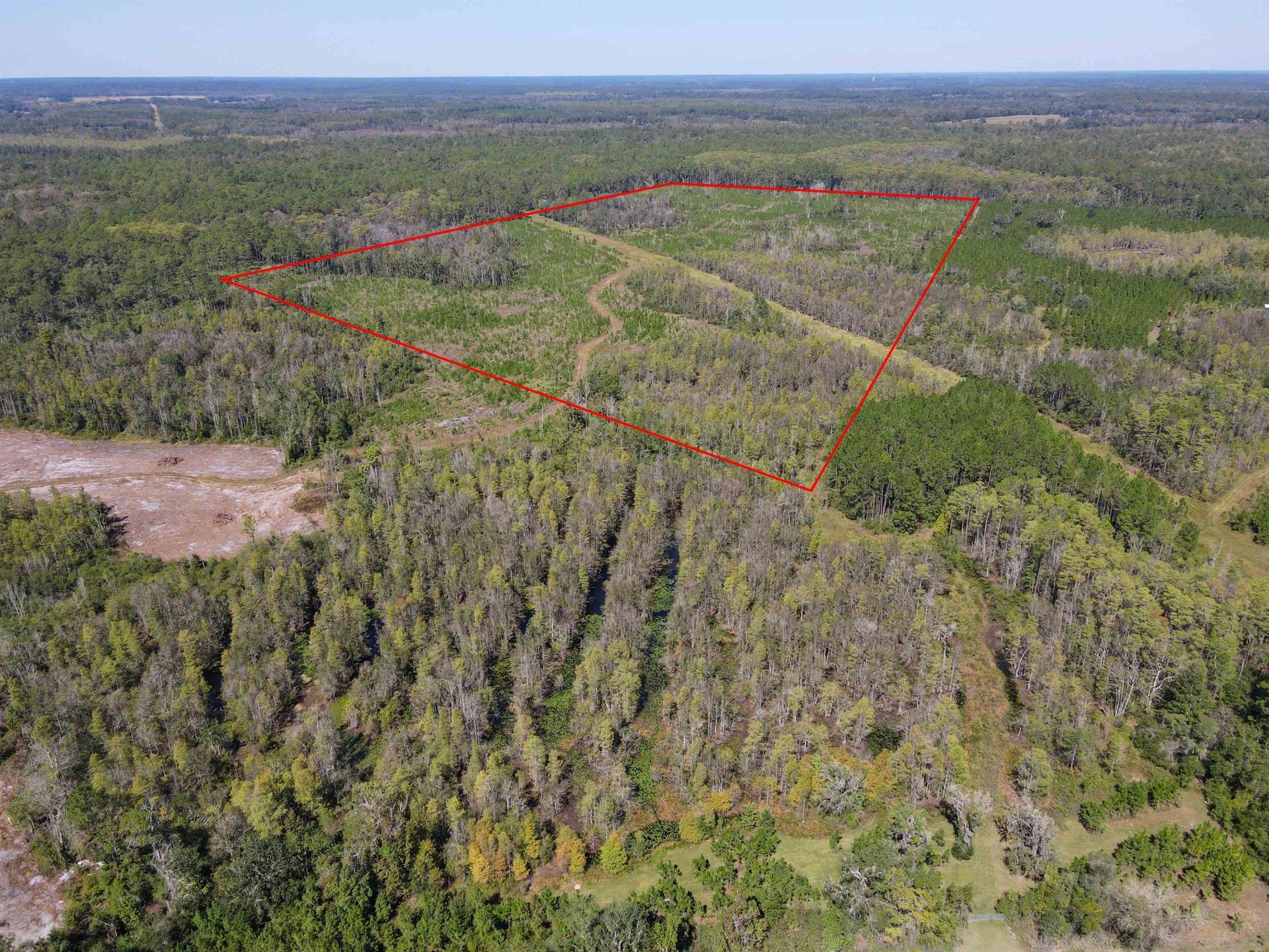 000 SW Mt.gilead Road , Lamont, FL 32331 Photo