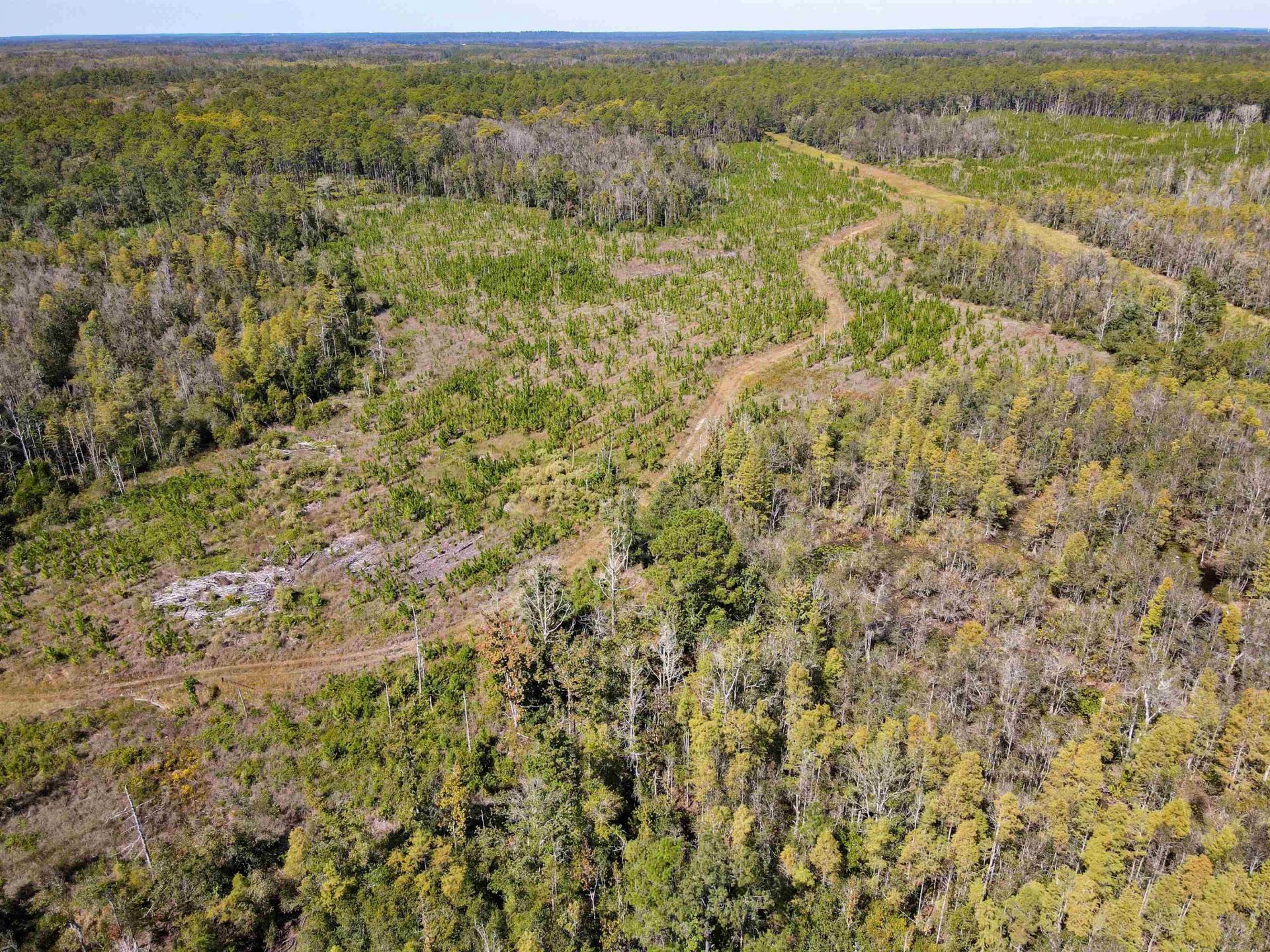 000 SW Mt.gilead Road , Lamont, FL 32331 Photo