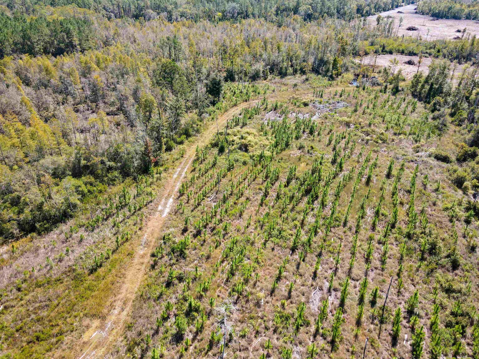 000 SW Mt.gilead Road , Lamont, FL 32331 Photo