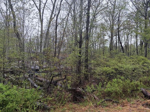 Lot 1 White Birch Drive , Hawley, PA 18428