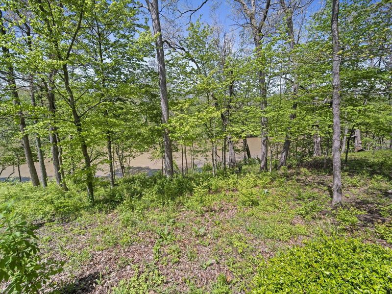 912 Matthews Brook Lane, Powell, OH 43065 Photo 177
