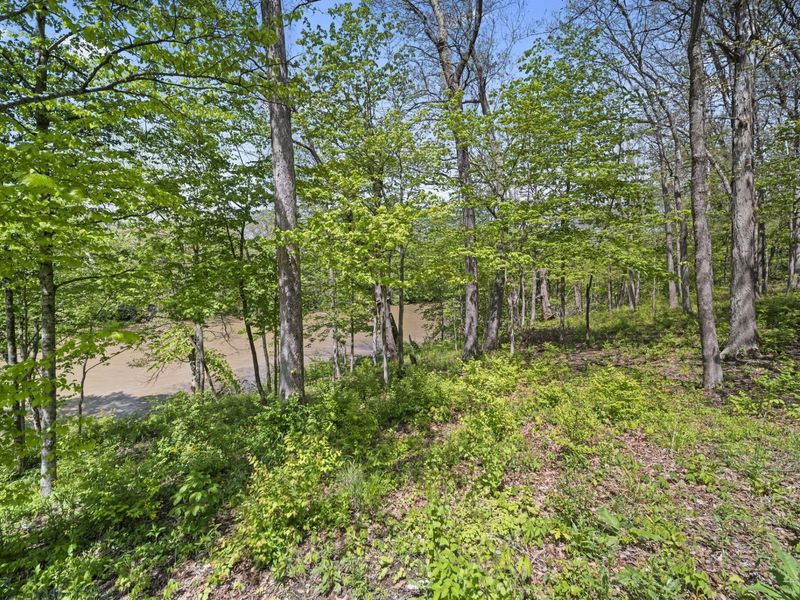 912 Matthews Brook Lane, Powell, OH 43065 Photo 178