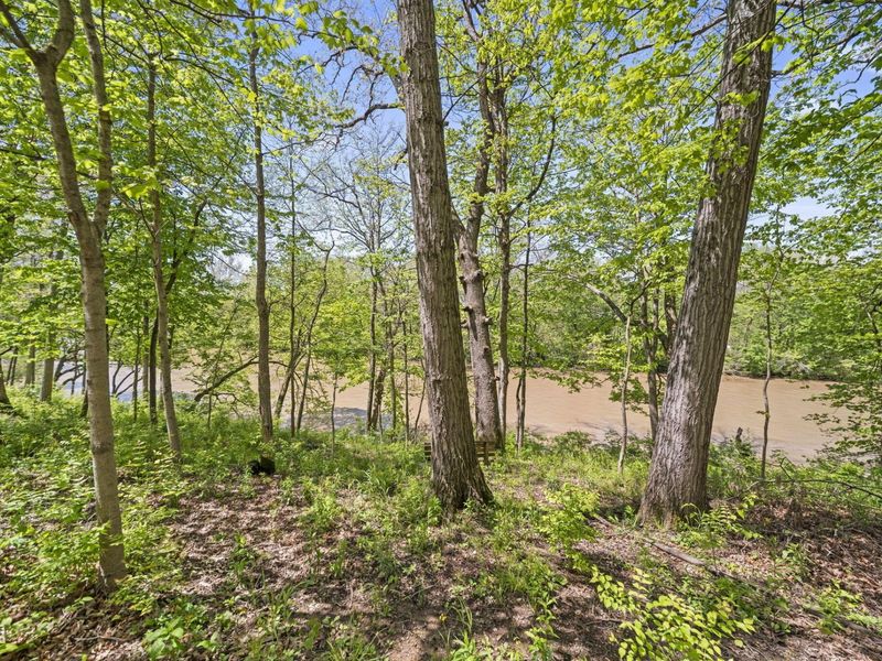 912 Matthews Brook Lane, Powell, OH 43065 Photo 180