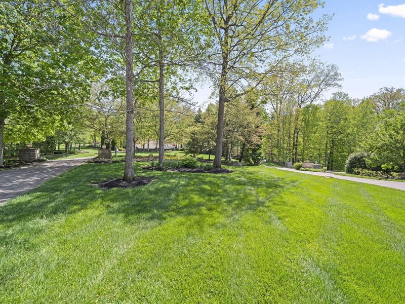 912 Matthews Brook Lane, Powell, OH 43065 Photo 182