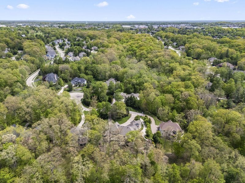 912 Matthews Brook Lane, Powell, OH 43065 Photo 196