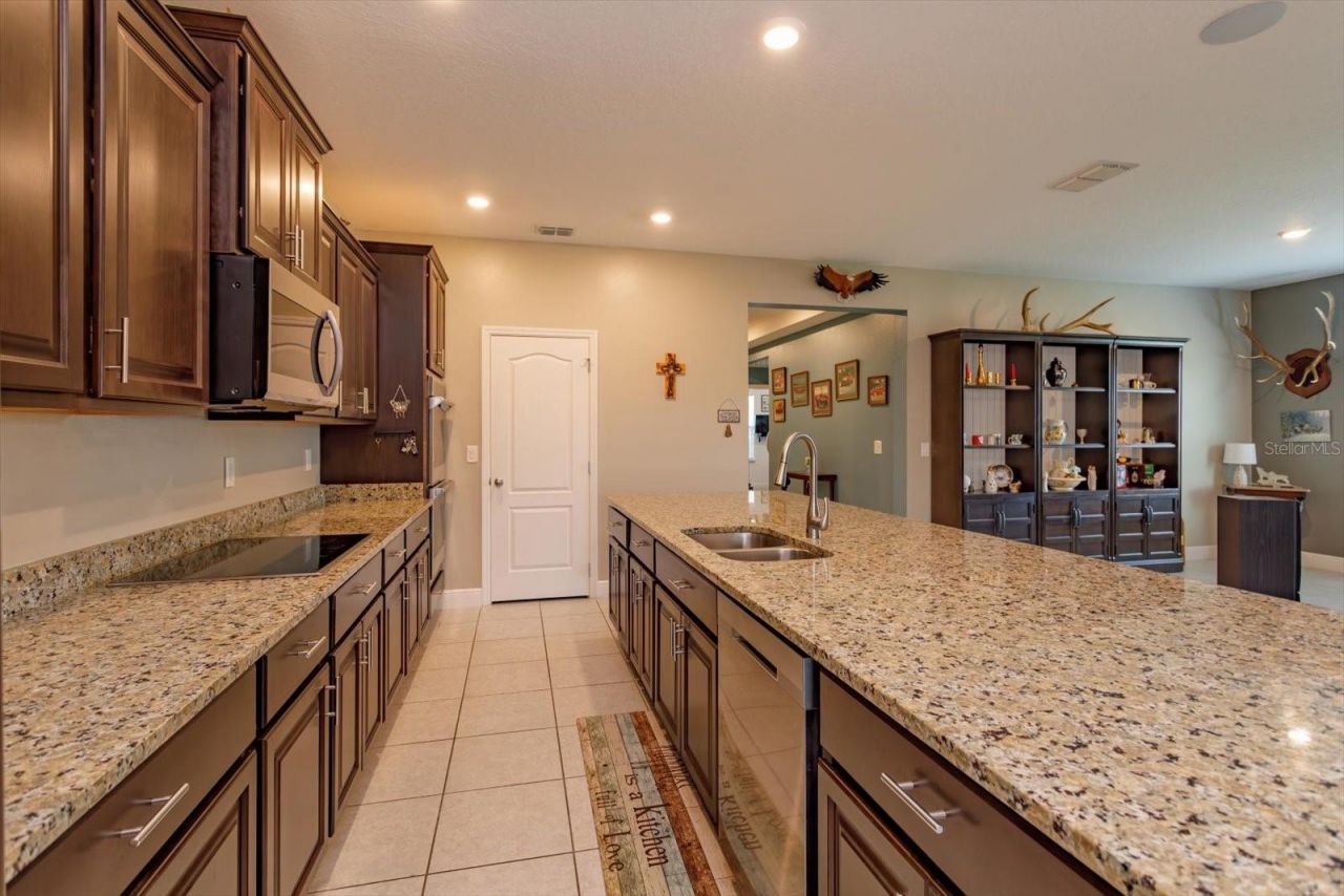 1629 Marsh Pointe Drive, Clermont, FL 34711 Photo