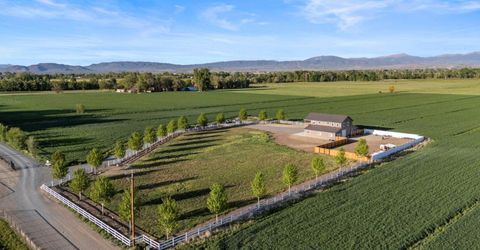 1321 Wilhelm Place, Gardnerville, NV 89460 Photo